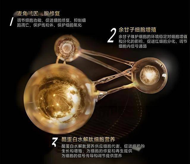 爱华外汇官网入口政和：厚植生态底色 争当生态文明建设典范